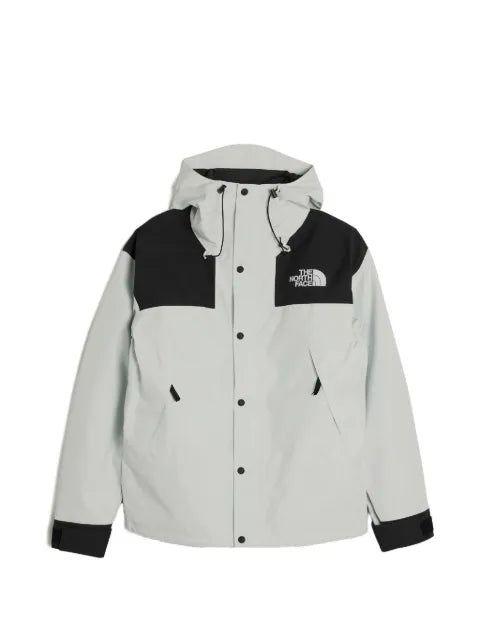 The North Face gore-tex Mountain jacket