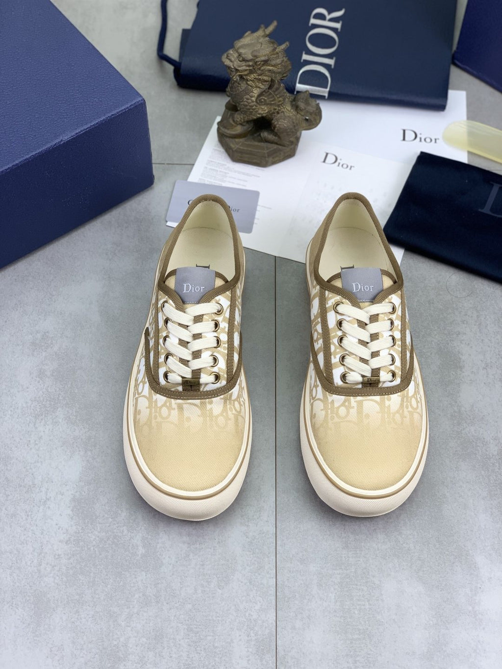 Dior Patterned Low-Top Canvas Sneakers
